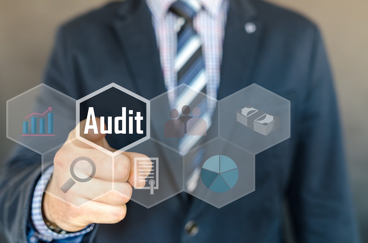 Other Specialized Audits